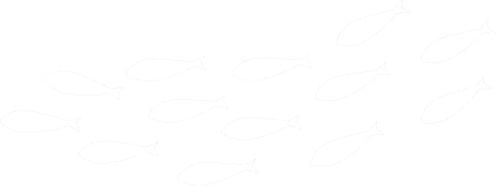 魚